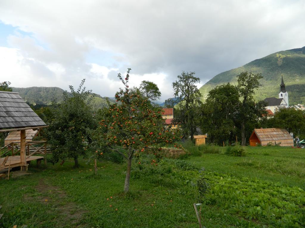 Tržič Glamping Organic Farm Slibar 빌라 외부 사진