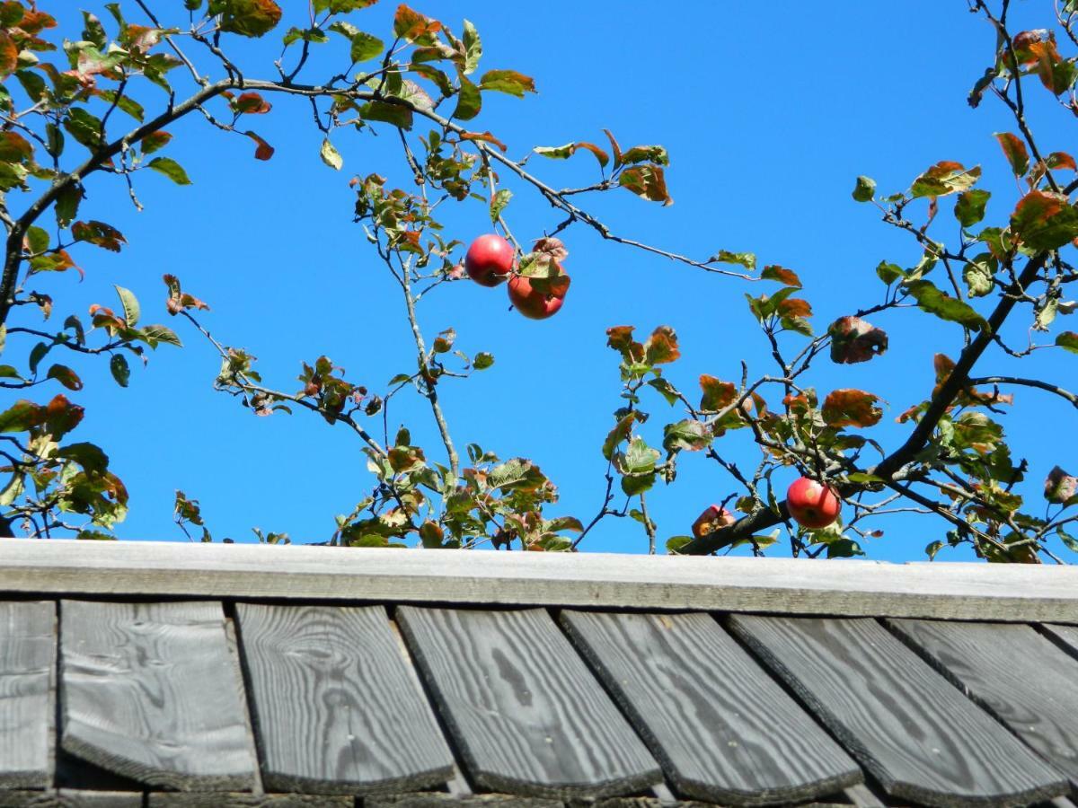 Tržič Glamping Organic Farm Slibar 빌라 외부 사진