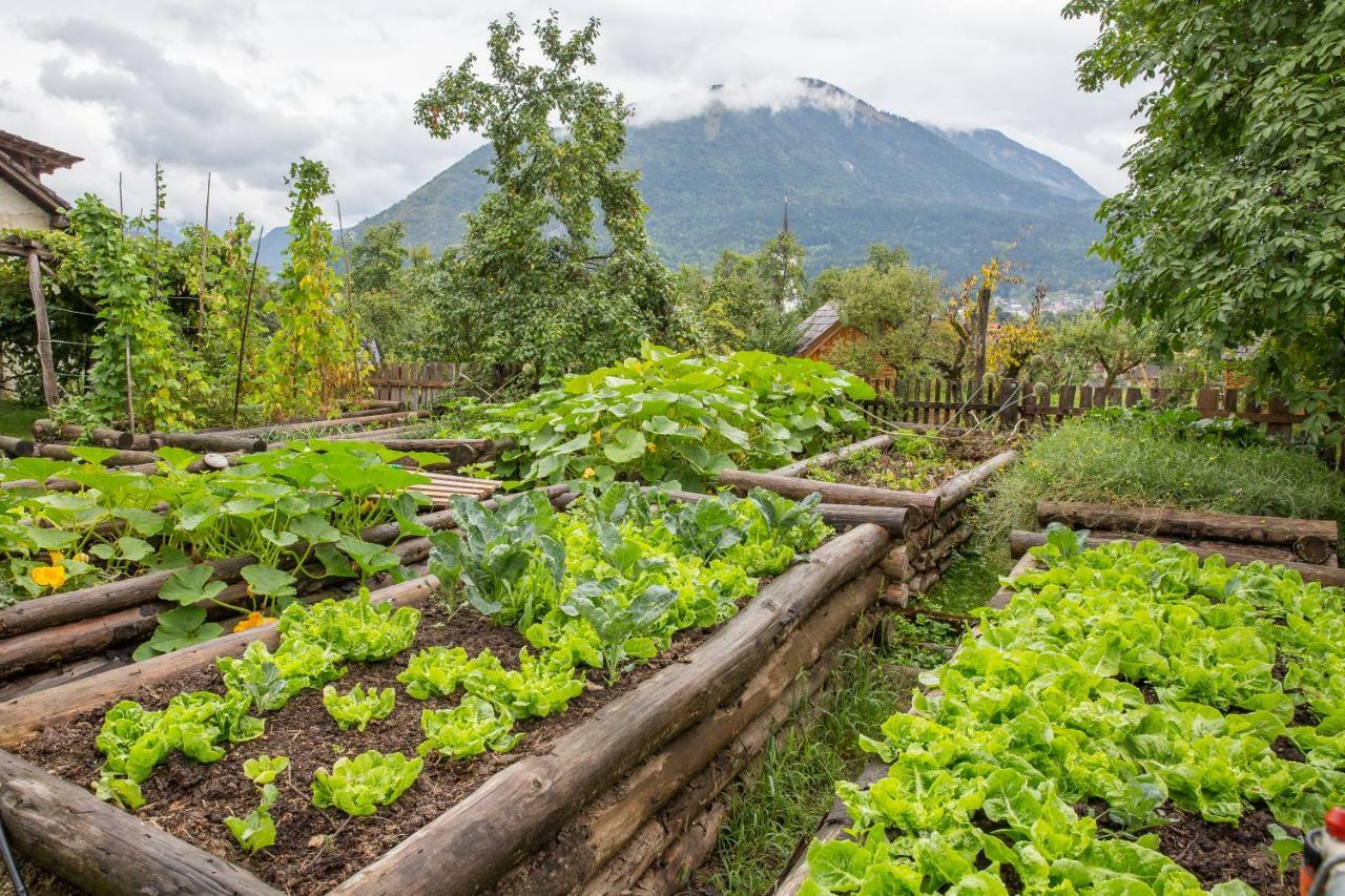 Tržič Glamping Organic Farm Slibar 빌라 외부 사진